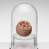 Blossoms will run away II, 2023, Plated wire, 8.5 x 5.5 x 5.5”