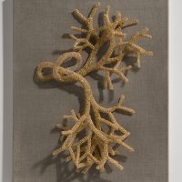 Tethered (alone I cannot be), 2024, 12K gold-filled wire and silver-plated wire, 16 x 20 x 3”