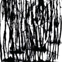 N H Swamp Bramble, oil paper on Fabriano hot presspaper, 4 x 6 feet