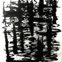 N H Swamp, Reed Reflection, oil bar on fabriano hot press paper, 4 x 6 feet