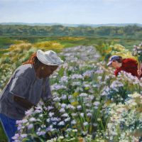 Harvesting Bee Balm, 2019, oil on canvas, 18” x 24”