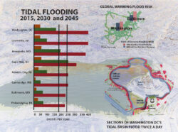 WASHINGTON, DC – TIDAL BASIN FLOODING, 2020-2021, Digital on canvas 18 x 24 inches