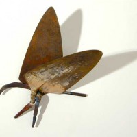 Moth   Welded steel   10” x 7” x 3”   2007 Moth Welded steel 10” x 7” x 3” 2007