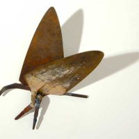 Moth Welded steel 10” x 7” x 3” 2007 Moth Welded steel 10” x 7” x 3” 2007