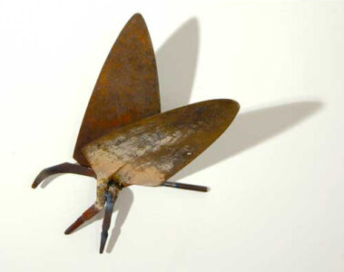 Moth Welded steel 10” x 7” x 3” 2007 Moth Welded steel 10” x 7” x 3” 2007