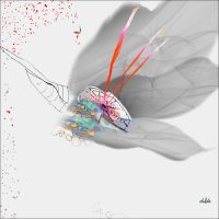 Solitude, Pigment ink on paper, 30” x 30”, 2018 Solitude, Pigment ink on paper, 30” x 30”, 2018