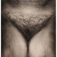 ProjectS_02, charcoal on watercolor paper, 67” X 49”, 2015 ProjectS_02, charcoal on watercolor paper, 67” X 49”, 2015