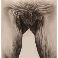 ProjectS_01, charcoal on watercolor paper, 63” x 42”, 2015 ProjectS_01, charcoal on watercolor paper, 63” x 42”, 2015