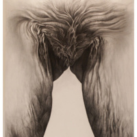 ProjectS_01, charcoal on watercolor paper, 63” x 42”, 2015 ProjectS_01, charcoal on watercolor paper, 63” x 42”, 2015