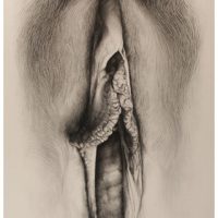 ProjectS_04, charcoal on watercolor paper, 64” x 40”, 2016 ProjectS_04, charcoal on watercolor paper, 64” x 40”, 2016