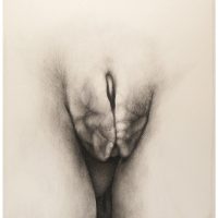 ProjectS_05, charcoal on watercolor paper, 38” x 35”, 2015 ProjectS_05, charcoal on watercolor paper, 38” x 35”, 2015