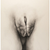 ProjectS_05, charcoal on watercolor paper, 38” x 35”, 2015 ProjectS_05, charcoal on watercolor paper, 38” x 35”, 2015