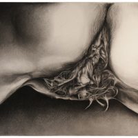 ProjectS_06, charcoal on watercolor paper, 45” x 54”, 2016 ProjectS_06, charcoal on watercolor paper, 45” x 54”, 2016