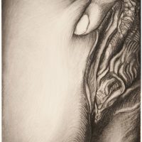 ProjectS_16, charcoal on watercolor paper, 20” x 15”, 2016 ProjectS_16, charcoal on watercolor paper, 20” x 15”, 2016