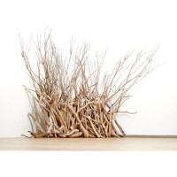 Fantasy Garden, wood, 96x120x72, 2005 Fantasy Garden, wood, 96x120x72, 2005