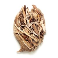 Dog Star Sail, wood, 58x37x14, 2005 Dog Star Sail, wood, 58x37x14, 2005