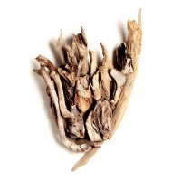 EbbTide, wood, 54x36x10, 2005 EbbTide, wood, 54x36x10, 2005