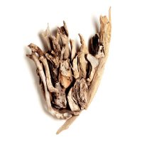 EbbTide, wood, 54x36x10, 2005 EbbTide, wood, 54x36x10, 2005