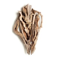 Rivers of Silence, wood, 46x26x9, 2005 Rivers of Silence, wood, 46x26x9, 2005