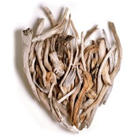 Exuberant Heart, wood, 60x48x9, 2003 Exuberant Heart, wood, 60x48x9, 2003