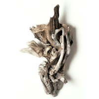 Whirling Dervish, wood, 48x26x9, 2003 Whirling Dervish, wood, 48x26x9, 2003