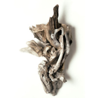 Whirling Dervish, wood, 48x26x9, 2003 Whirling Dervish, wood, 48x26x9, 2003