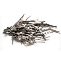 Prana, wood, 48x84x14, 2003 Prana, wood, 48x84x14, 2003