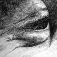 Peace, charcoal on paper, 45" x 57", 2003 Peace, charcoal on paper, 45" x 57", 2003