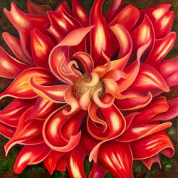 Passion Red Dahlia. 30x30" Gallery Wrapped Oil on Canvas Oil Painting by the artist, Mary Ahern