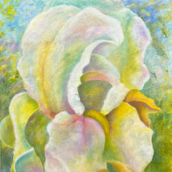 Meditative Journey-Immortality Iris - Acrylic & Oil on Gallery Wrapped Canvas - 24x24" Oil Painting by the artist, Mary Ahern