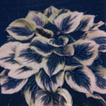 Hosta,2021, Polaroid photo print on canvas, 30 x 31”